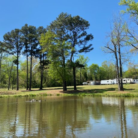 A wide shot of RVs parked at the spacious and well-maintained Bedrock RV Park in Longview, Texas surrounded by trees and open skies.