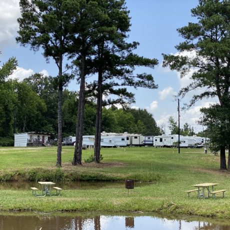 A wide shot of RVs parked at the spacious and well-maintained Bedrock RV Park in Longview, Texas surrounded by trees and open skies.