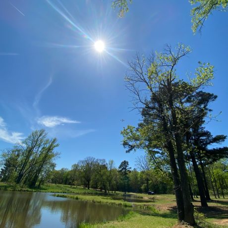 A serene fishing pond with lush greenery around it, reflecting the peaceful environment of Bedrock RV Park in Longview, Texas. 